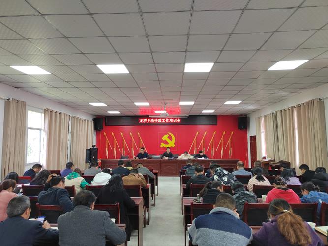 龙桥乡:举办"渝快政"业务培训会